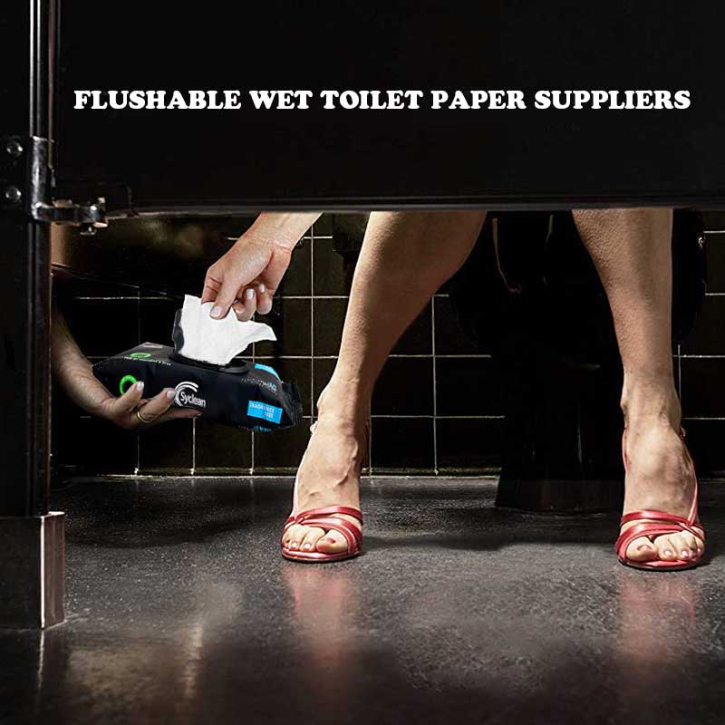 Best Adult Flushable Toilet Paper Wipes Manufacturer China Sywipe