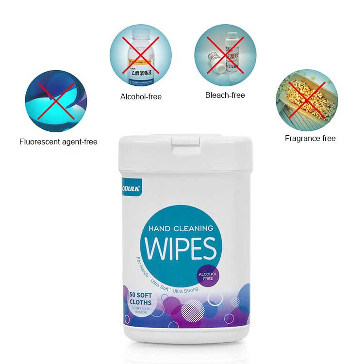 OEM 50 Sheets Antibacterial Sanitizing Hand Cleaning Wet Wipes Travel Pack